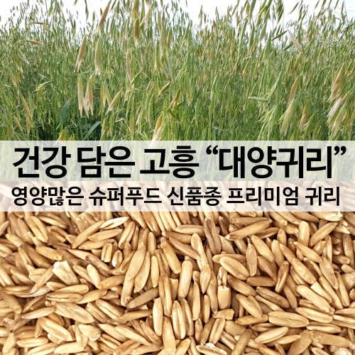 [반짝 세일] 국산 대양 귀리 쌀 치매 당뇨 효능에좋은 잡곡밥 [23년 햇곡]