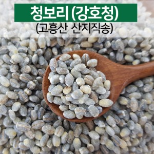 [반짝 세일] 청보리쌀 청보리 강호청보리 햅곡