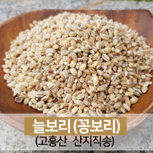 늘보리쌀 꽁보리 비빔밥 쌀 햅곡