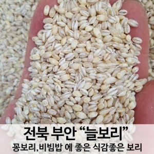 국산 햇 늘보리쌀 1kg 꽁보리 [23년햇곡]
