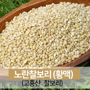 고흥 노란보리 찰보리 햅곡 잡곡쌀
