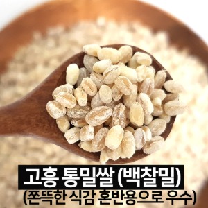 국산 통밀쌀 쫀득쪽득 식감 영양가득 농진청개발 백찰밀 업그레이드