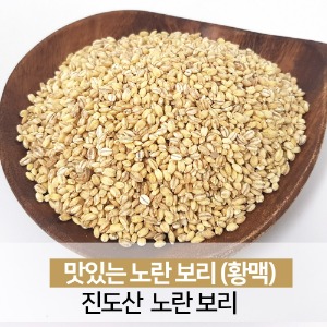 진도 노란보리 찰보리 햇곡 잡곡쌀 1kg [23년산 출하]